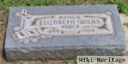 Elizabeth Huber Wilks