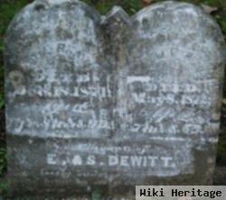 Elmer O. Dewitt