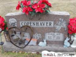 Carol Sue Wilt Copenhaver