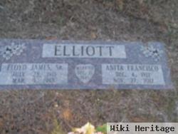 Anita Francisco Elliott