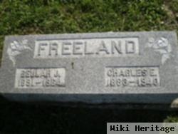 Charles Everett Freeland