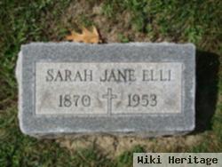 Sara Jane Eckenrode Elli