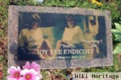 Joy Lee "yodi" Endicott