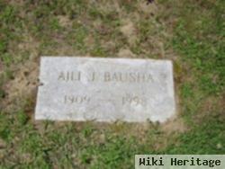 Aili Johanna Davidson Bausha