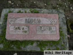 Carl A. Bloom