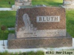 Joseph Ralph Bluth