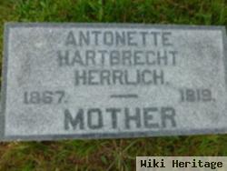 Antonette Hartbrecht Herrlich