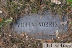 Viola Hill Norris