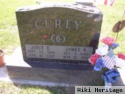 James R Curey