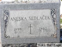 Aneska Sedlacek