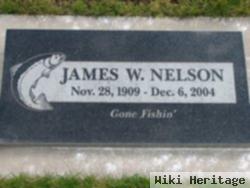 James W Nelson