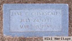 Jane Chadwick Clinkscales