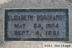 Elizabeth Afflerbach Borchardt