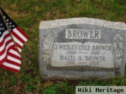 John Wesley Cole Brower