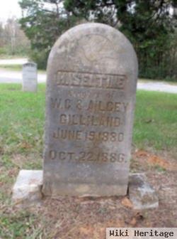 Haseltine Gilliland