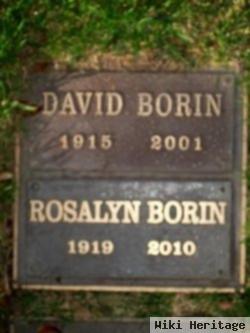 David Aaron Borin