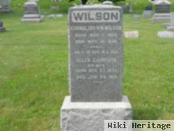 Ellen Garrison Wilson