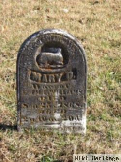 Mary C Williams