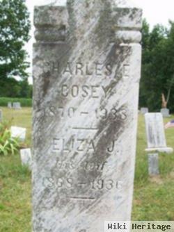 Eliza J Elliott Cosey