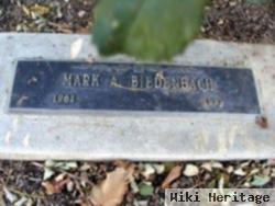 Mark A. Biedenbach