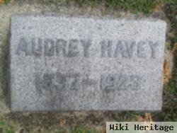 Audrey Adams Havey