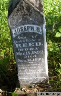 Joseph B Reed