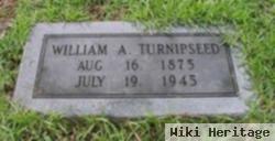 William A Turnipseed