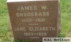 Jane Elizabeth Chipps Snodgrass