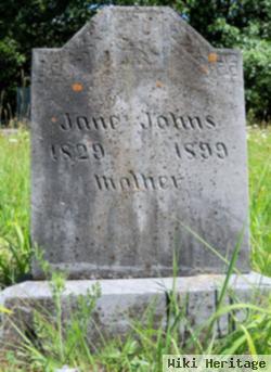 Jane Ann Garnet Mcintosh Johns