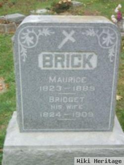 Bridget Kiley Brick