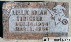 Leslie Brian Stricker