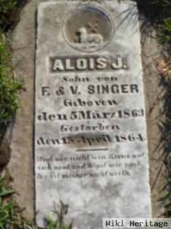 Alois J Singer