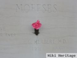 G. Herbert Moffses