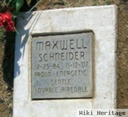 Maxwell Schneider