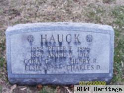 Henry R Hauck