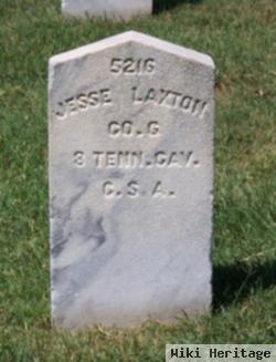 Jesse Laxton