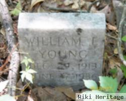 William E Young