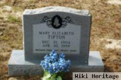 Mary Elizabeth Tipton