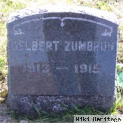 Delbert Zumbrun