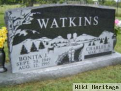 Bonita J Dibbern Watkins