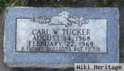 Carl Wayne Tucker