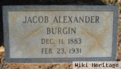 Jacob Alexander Burgin