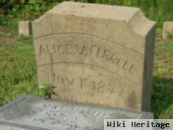 Alice Viola Proctor Ferrell