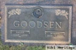 Harry Goodsen