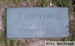 David Ruml