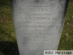 Olive Corwin Wolcott