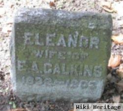 Eleanor Pilcher Arms Calkins