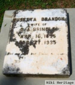 Lusetta Brandon Brindle