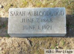 Sarah A Bloodgood