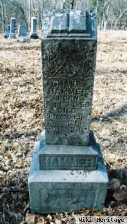 Charles L. Hammer